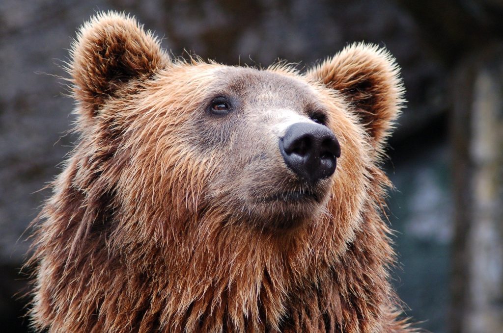 Ours