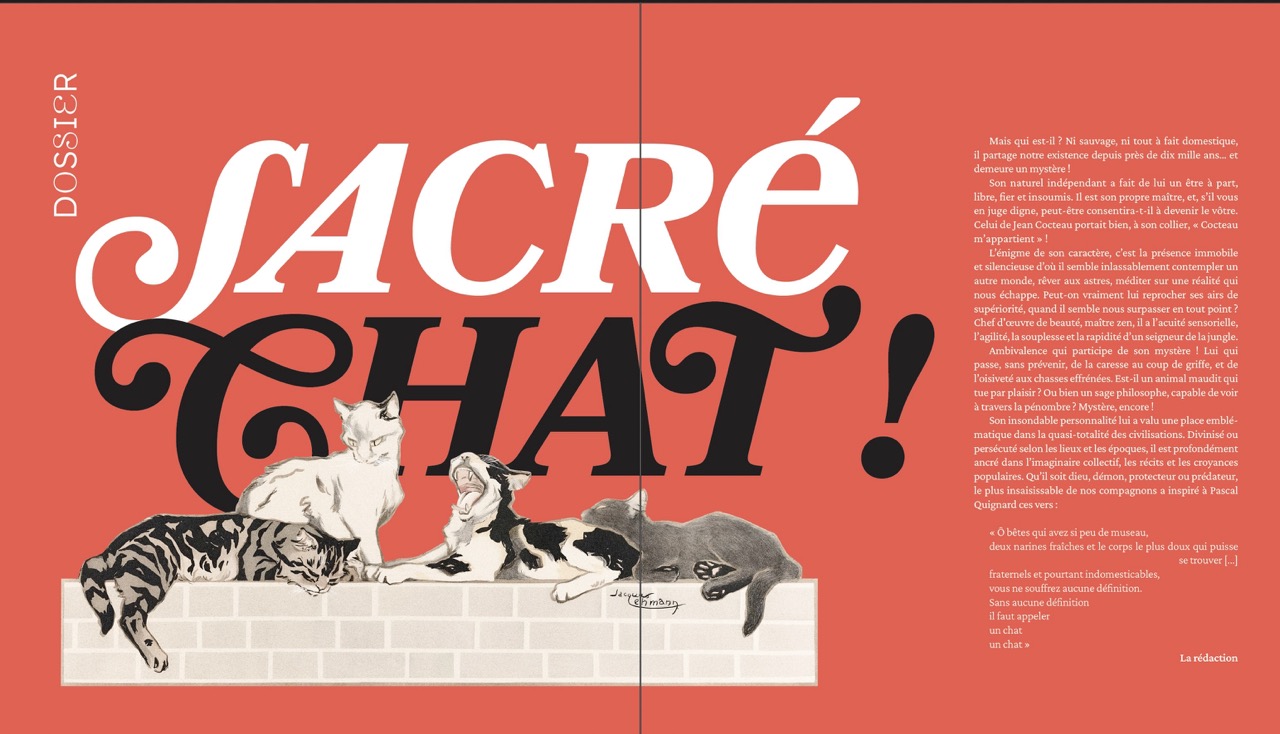 Aperçu double page